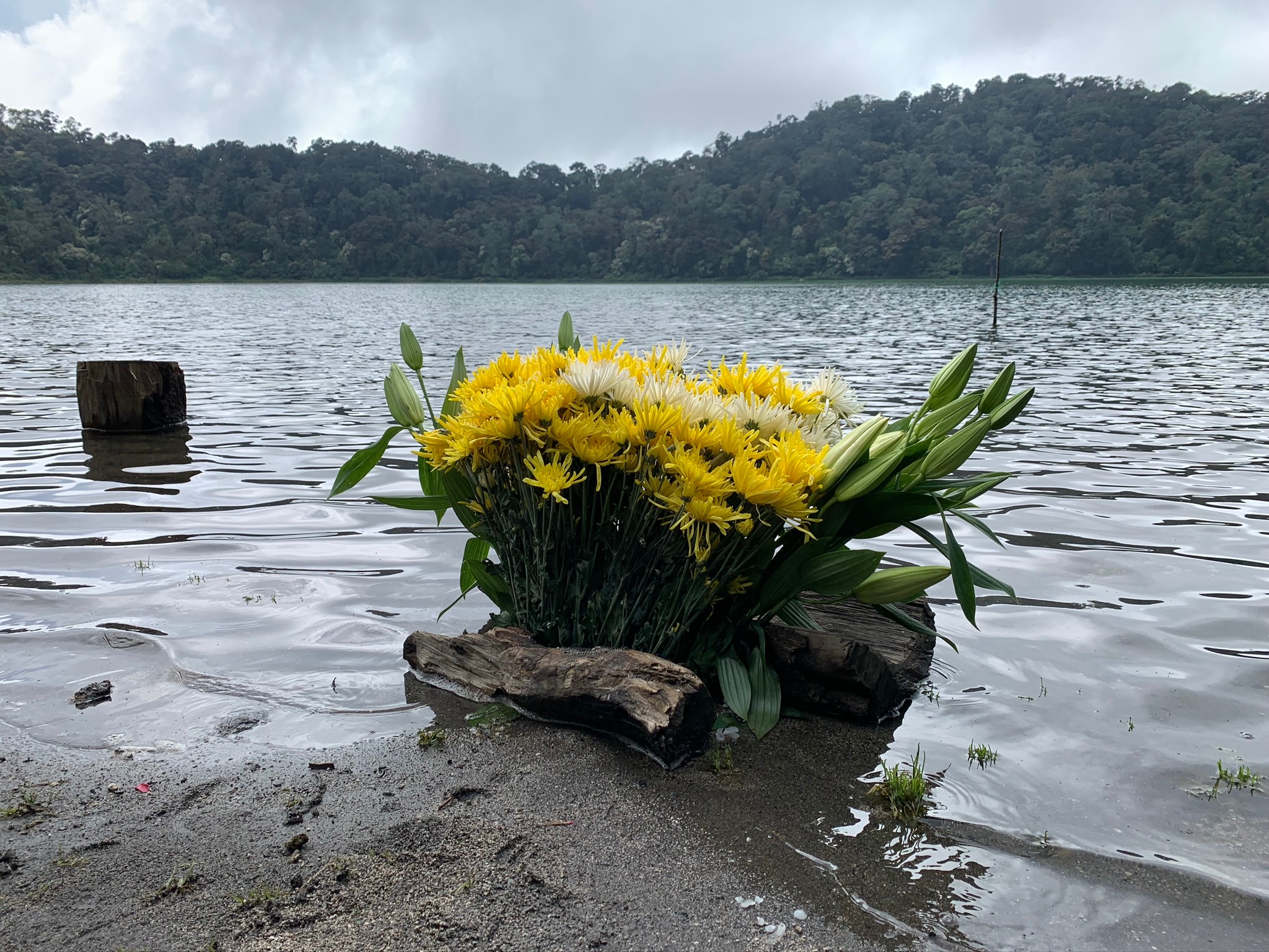  - Flower offering for the Chikabal Lagoon, Guatemala. (Photo Credit: Verónica Sacalxot, Ki’kotemal)